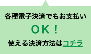 各種電子決済でもお支払いok!使える決済方法はコチラ