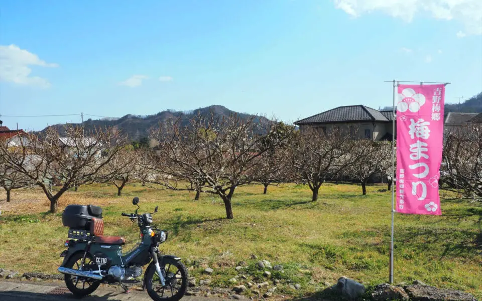 吉野梅郷のツーリング風景画像